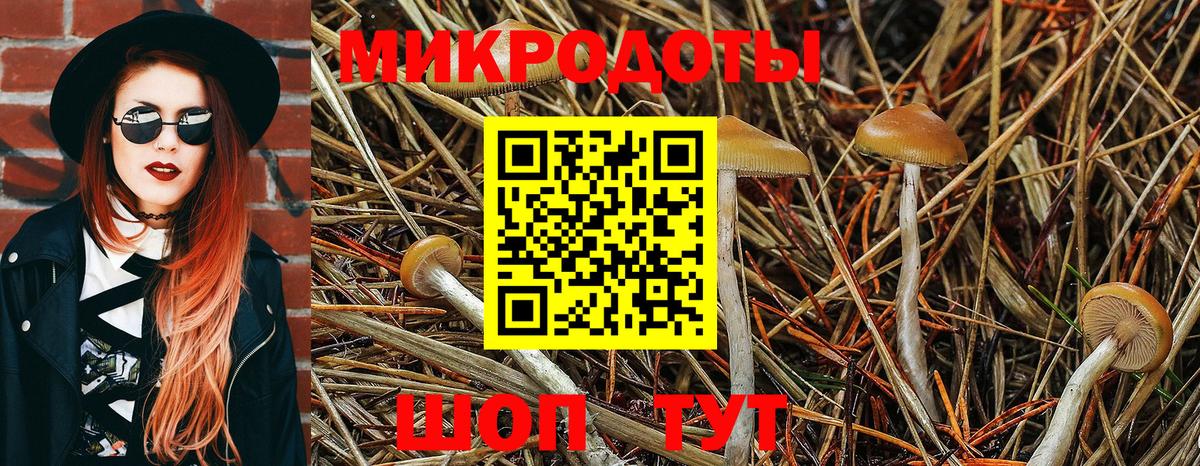Балашиха  Псилоцибиновые грибы мицелий  Галлюциногенные грибы MAGIC MUSHROOMS  Вход с VPN 